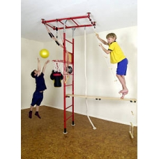 Monkey Gym Standard (with 1 protective mat)